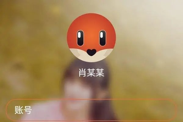 探探怎么通过对方的号加好友？